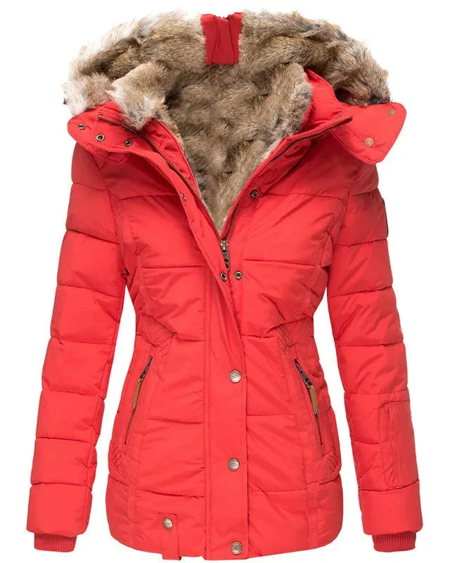 CELESTE / STUNNING INSULATED COAT