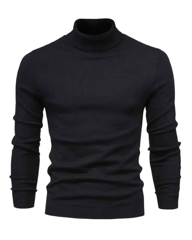 FINN / TURTLENECK JUMPER